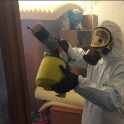 Уничтожение клопов в квартире. Кимовск